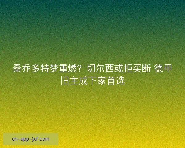 桑乔多特梦重燃？切尔西或拒买断 德甲旧主成下家首选